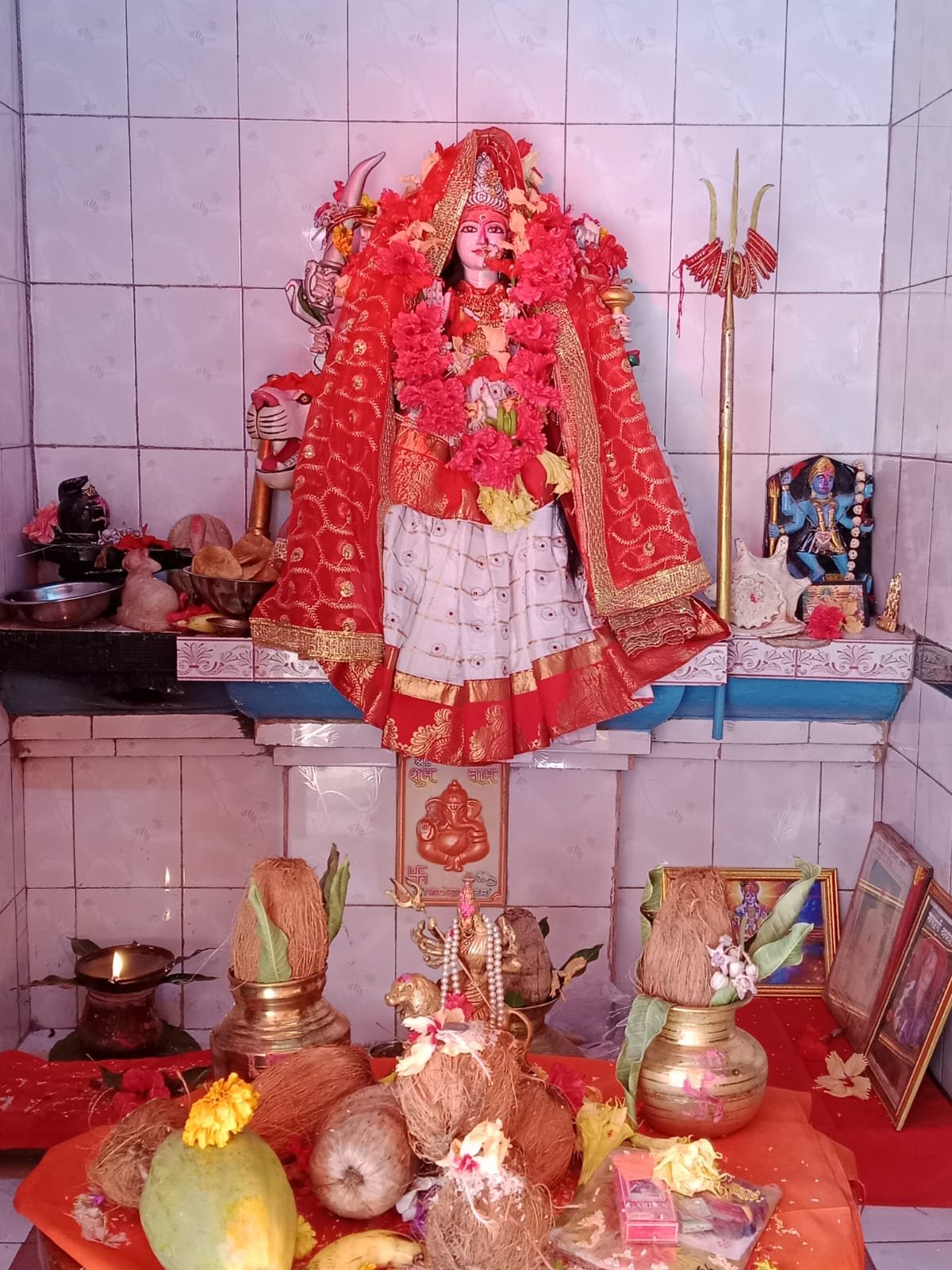 (नगरी) अष्टभुजी शक्ति पीठ माँ दुर्गा मंदिर उमरगाँव में आयोजित होगा भव्य शारदीय नवरात्र महोत्सव – 2025