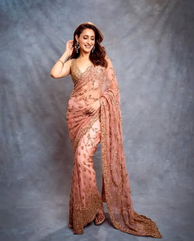 स्टाइलिश साड़ी पहन प्रज्ञा जैसवाल ने दिखाईं दिलकश अदाएं, एक्ट्रेस की बलखाती अदाओं पर दिल हार गए फैंस