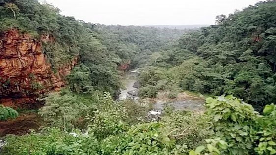 (रायपुर) बस्तर के आसना में खुलेगा राज्य का पहला वन विज्ञान केन्द्र