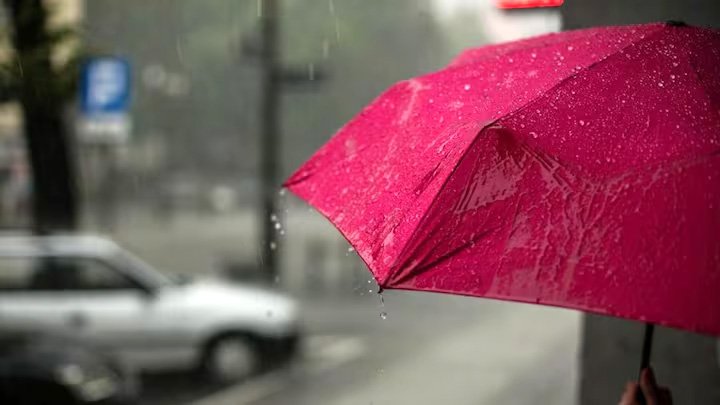 मानसून की सक्रियता से शुरू हुआ भारी बारिश का दौर, मौसम विभाग ने दिया अलर्ट 