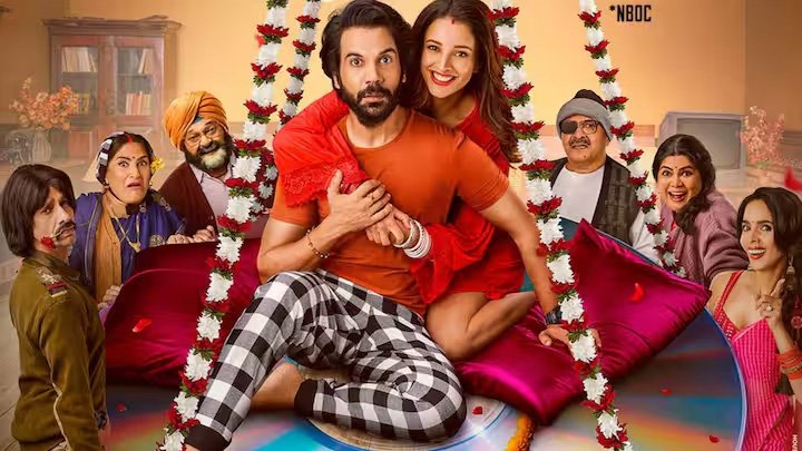विक्की विद्या का वो वाला वीडियो ने 13वें दिन भी कमाए एक करोड़ रुपये, जानिए कुल कारोबार 