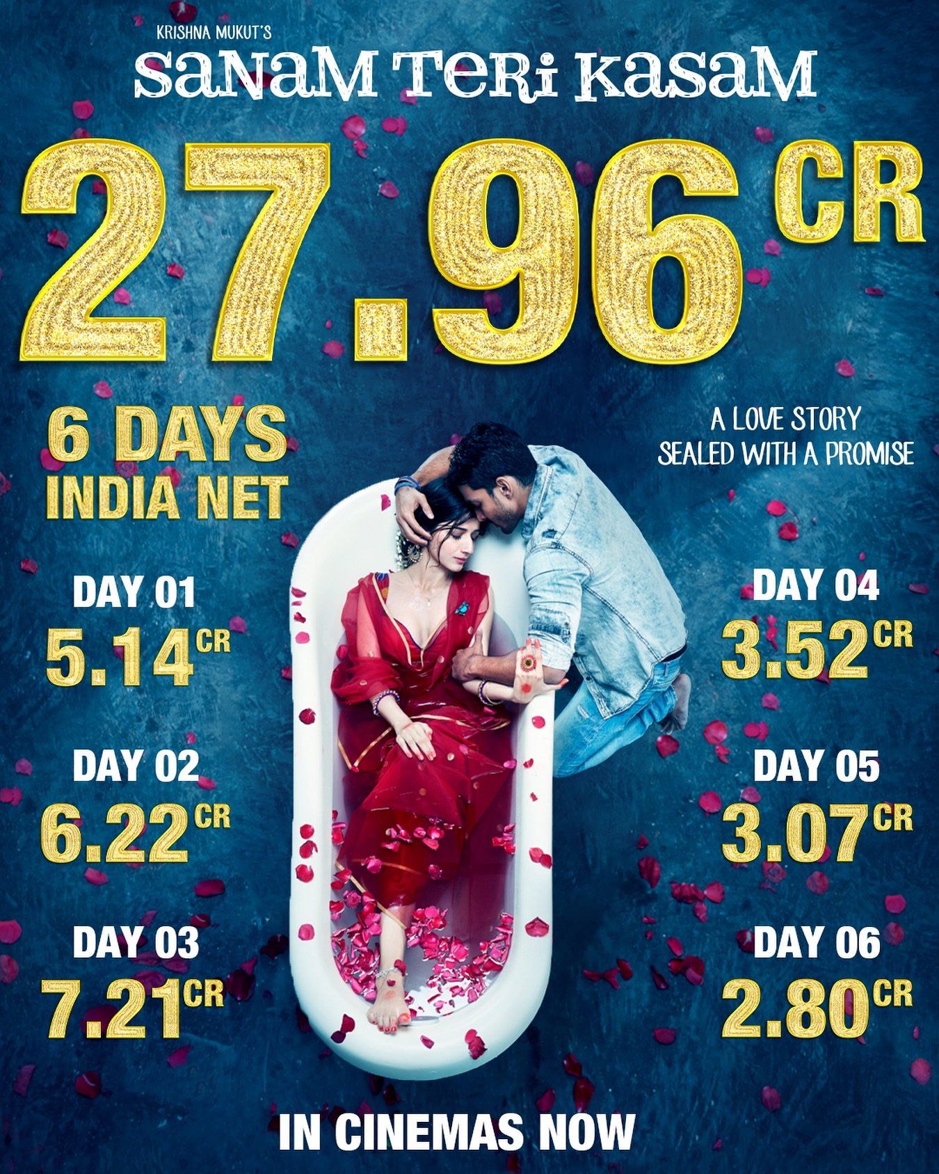 रि रिलीज हुई फिल्म सनम तेरी कसम का बॉक्स ऑफिस पर कब्जा, लवयापा-बैडएस रविकुमार जैसी फिल्मों को चटाई धूल 