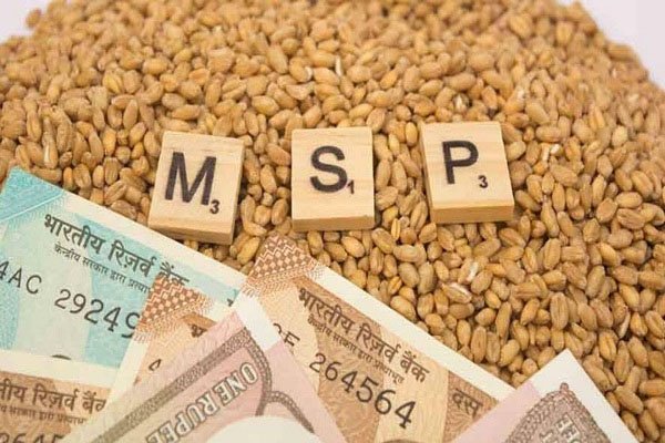 किसानों को सरकार का तोहफा, गेहूं व मसूर समेत रबी की 6 फसलों पर MSP बढ़ाया