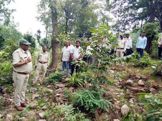 (रामानुजगंज) वन्य प्राणी संरक्षण सप्ताह पर बलरामपुर वन मंडल में जागरूकता रैली और एन्टी स्नेयर वॉक का आयोजन