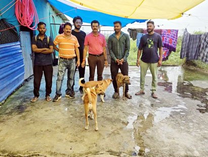 (जगदलपुर) आवारा कुत्तों को मिलेगा शरण स्थल, होगी नसबंदी भी