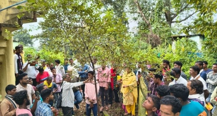 (बीजापुर) लाख पालन से बदलेगी किस्मत, जिले के कृषक मनकुराम हुए लाभान्वित
