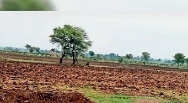 (महत्वपूर्ण) (रायपुर) किसानों ने डाले बीज, पर्याप्त वर्षा के अभाव में नहीं हो रहा अंकुरण 
