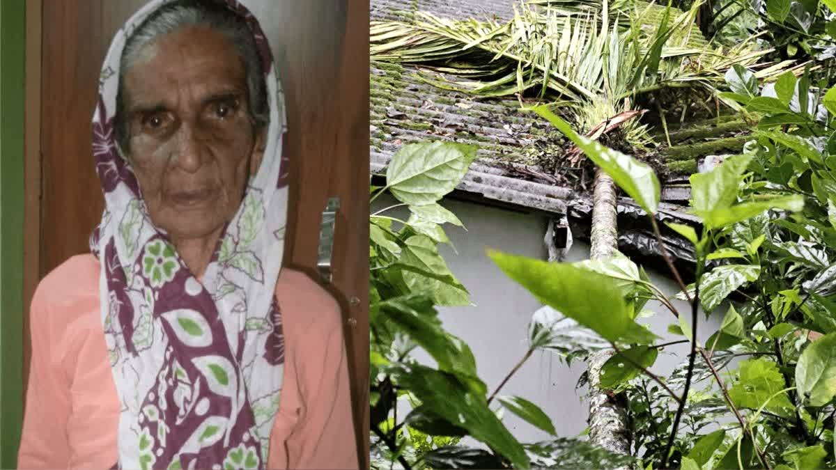 केरल में भारी बारिश का कहर, इडुक्की और पालक्कड़ में भूस्खलन, बुजुर्ग महिला की मौत