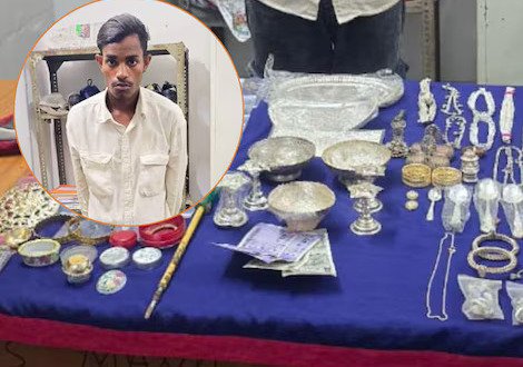(रायपुर)  लाखों की चोरी करने वाला आरोपी चढ़ा पुलिस के हत्थे