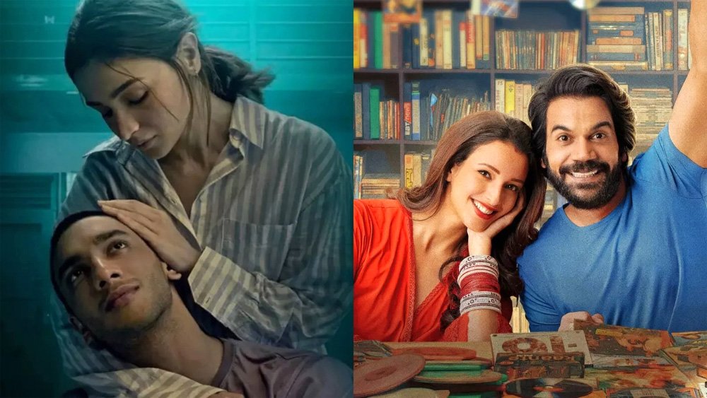 बॉक्स ऑफिस पर अलविदा कहने की तैयारी में जिगरा और विक्की विद्या का वो वाला वीडियो
