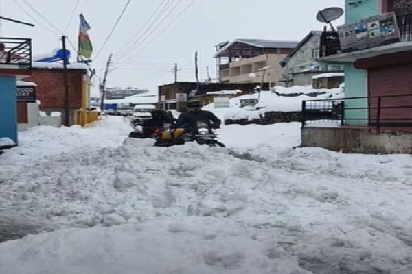लाहौल में समय से पहले बर्फबारी ने बागवानों की कमर तोड़ी, सेब की फसल बर्बाद