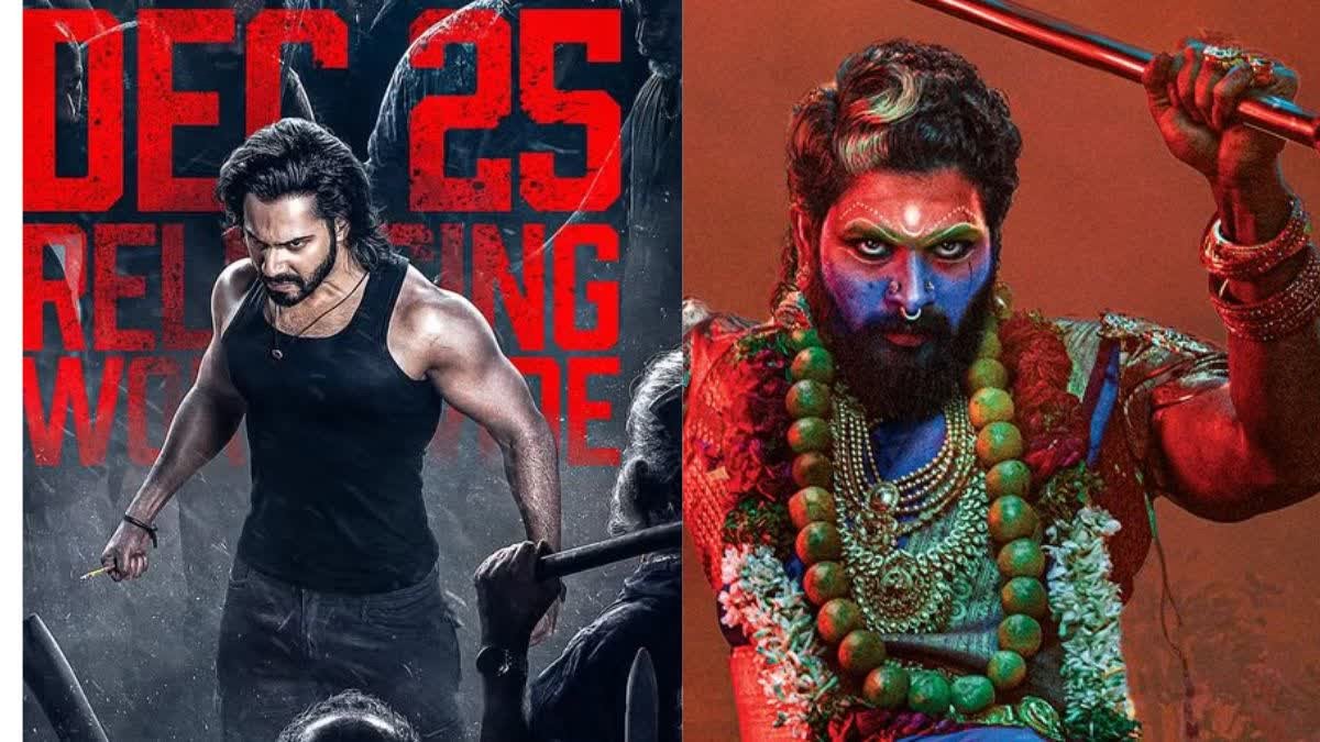 पुष्पा 2 के तूफान में उड़ी बेबी जॉन, वीकेंड पर 30 करोड़ भी पार नहीं कर पाई वरुण धवन की फिल्म