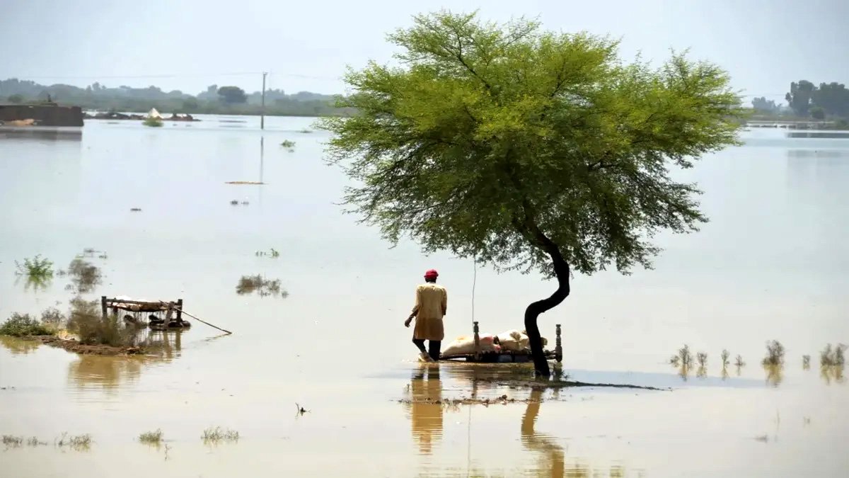 बारिश और बाढ़ पाकिस्तान में 700 से अधिक लोगों की मौत
