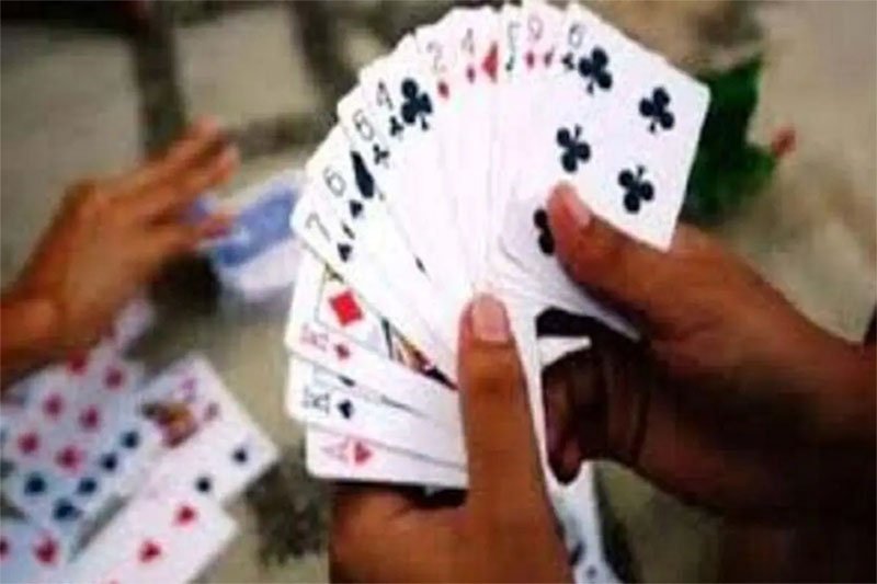 (जांजगीर-चांपा) जंगल में जुआ खेल रहे 4 जुआरी गिरफ्तार