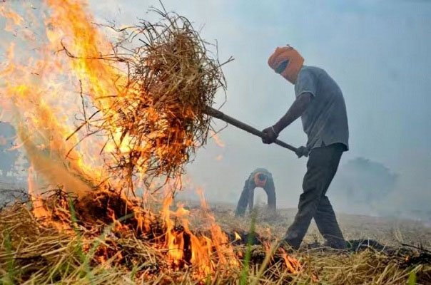 पराली जलाने वाले अब नहीं बेच पाएंगे अपनी फसल, FIR के साथ सरकार ने उठाए बड़े कदम