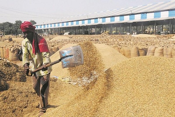 पंजाब की मंडियों में पड़ा अनाज खरीदेगी मोदी सरकार, किसानों को दिया भरोसा