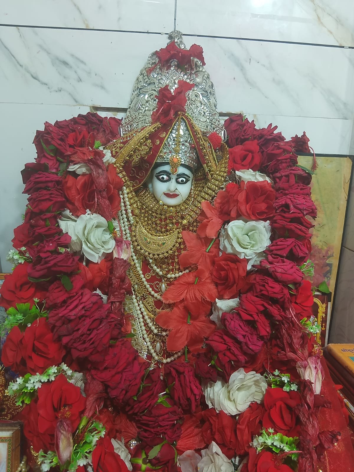 (रामानुजगंज) मां महामाया मंदिर में श्रद्धालुओं का जनसैलाब उमड़ा, नवरात्रि के अवसर पर विशेष पूजा अर्चना