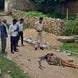 (बिलासपुर) जादू-टोना के शक में बेटे ने की कुल्हाड़ी से मारकर मां की हत्या