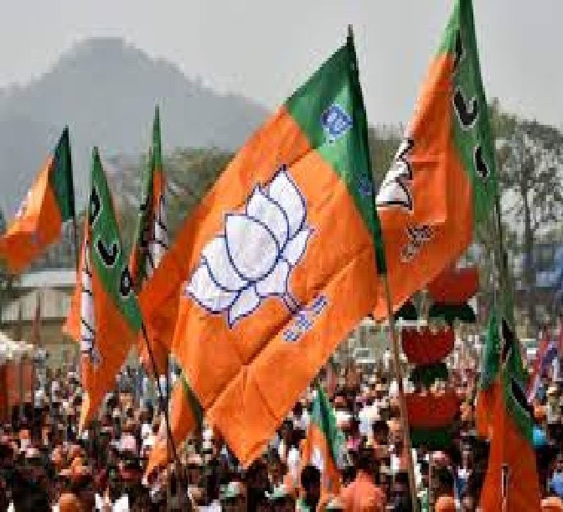 (रायपुर) बीजेपी के कई नेताओं को महाराष्ट्र और झारखंड में प्रचार की जिम्मेदारी