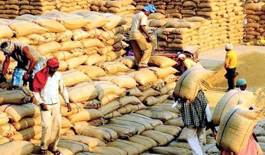 (महासमुंद) सागुनढ़ाप खरीदी केंद्र में सामने आया बोगस धान खरीदी का मामला