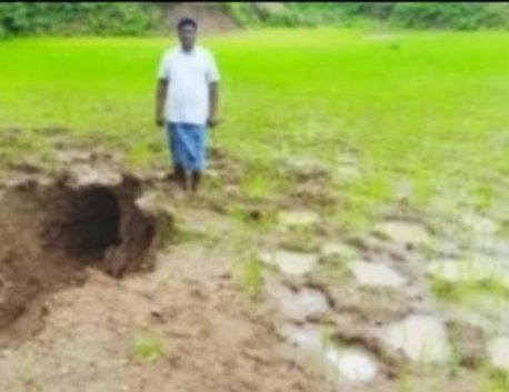 (कोरबा) गुरुमुडा, कोड़ा और बांझीबन के जंगलों में पहुंचा हाथियों का दल. ग्रामीणों में दहशत.. वनविभाग के अधिकारी नदारद