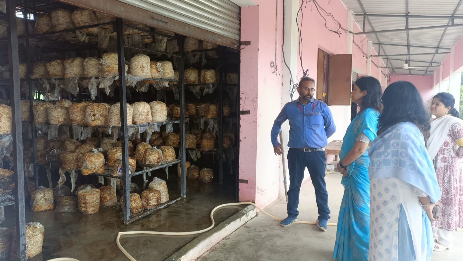 (धमतरी, ) प्रमुख सचिव  बारिक ने किया मशरूम इकाई का निरीक्षण, ग्रामीण महिलाओं की आजीविका को सराहा