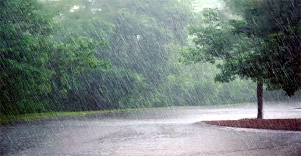 (रायपुर) छत्तीसगढ़ में अब तक 1166.3 मिमी औसत वर्षा दर्ज