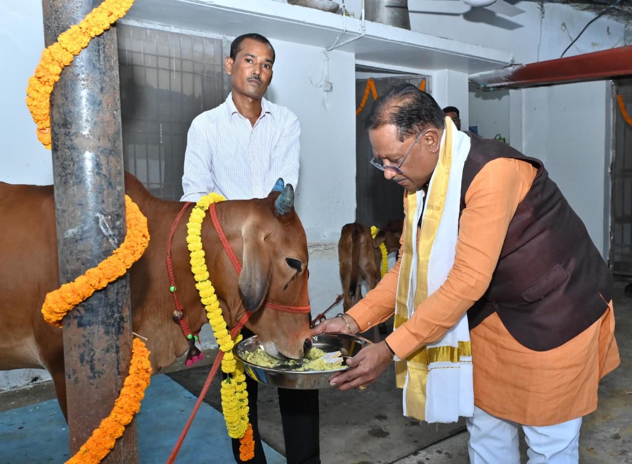 (रायपुर) गोवर्धन पूजा के अवसर पर मुख्यमंत्री ने किया गौपूजन, प्रदेशवासियों की सुख-समृद्धि की कामना की