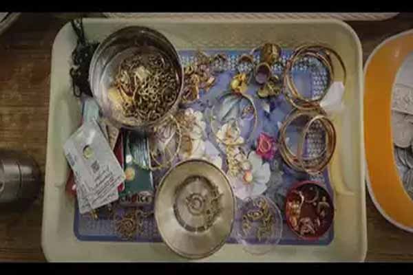 लोकायुक्त की बड़ी कार्रवाई, रिटायर्ड जूनियर ऑडिटर के ठिकानों से करोड़ों की संपत्ति बरामद; VIDEO देख फटी रह जाएंगी आंखें