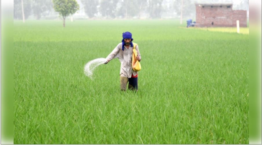 सरकार किसानों को यूरिया का कम इस्तेमाल करने के लिए कर रही प्रोत्साहित, वैकल्पिक उर्वरकों को अधिसूचित किया