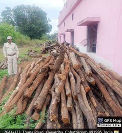 (कवर्धा)  बोड़ला–चिल्फी–धवईपानी मार्ग में होटल/ढाबों पर जांच, अवैध लकड़ी जप्त — तीन प्रकरण दर्ज