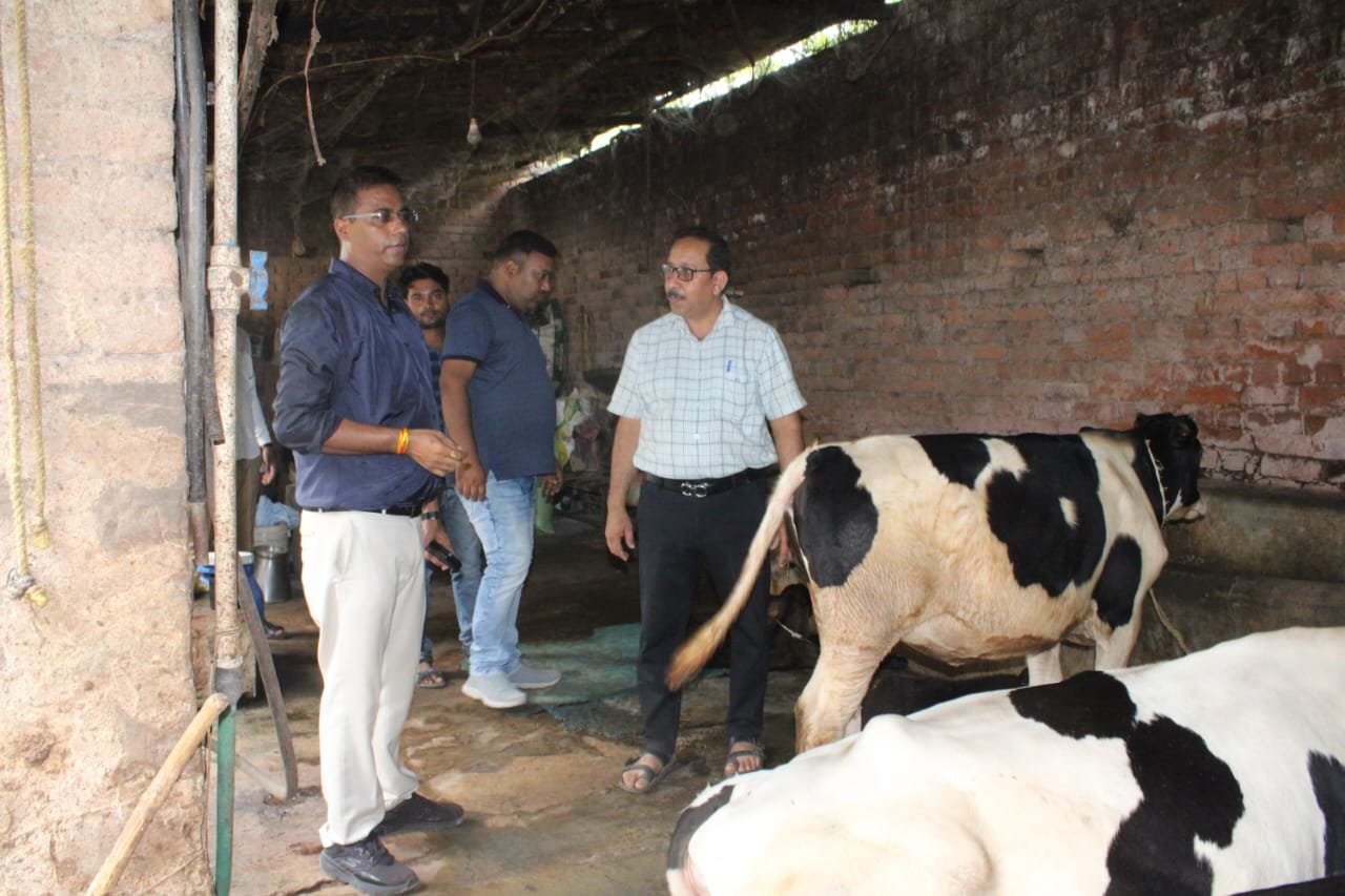 ( सारंगढ़-बिलाईगढ़) लखपति दीदी मनोरमा नायक की तरह दूसरे भी अपनाएं डेयरी व्यवसाय : कलेक्टर डॉ कन्नौजे