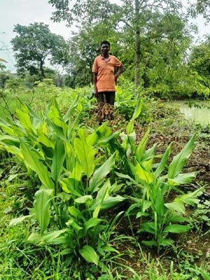 (रायपुर) डबरी ने खोले समृद्धि के द्वार, दुलार सिंह का सपना हुआ साकार