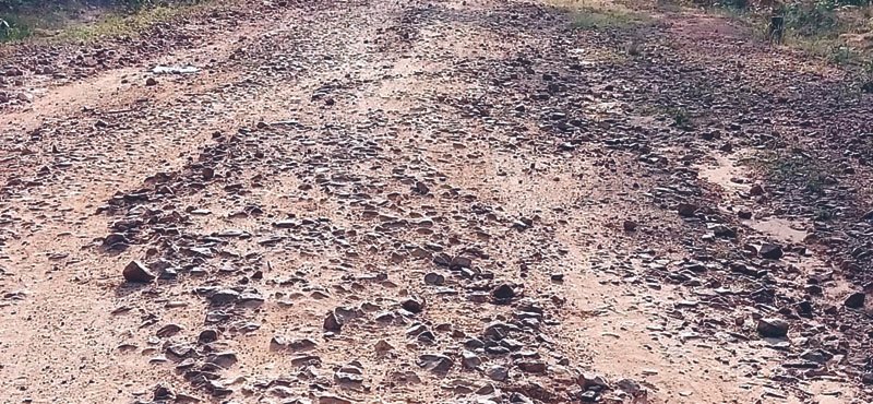 (कोरबा) बारिश के बाद शुरू होगा चिर्रा-श्यांग सड़क निमार्ण का कार्य