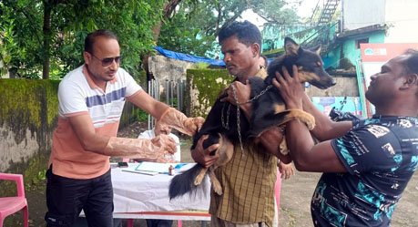 (सारंगढ़ बिलाईगढ़) प्रत्येक वर्ष कुत्तों का टीकाकरण कराएं पशुपालक - पशु चिकित्सा डॉ महेंद्र पांडेय