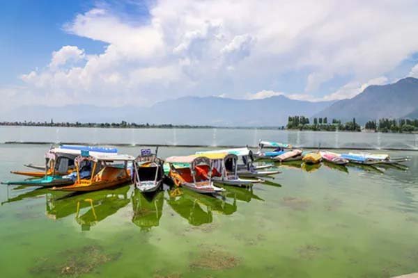 घरेलू यात्रियों में वृद्धि से भारत का टूरिज्म सेक्टर 2035 तक 42 लाख करोड़ रुपए का हो जाएगा : रिपोर्ट