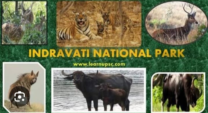  ( बीजापुर )इन्द्रावती टाइगर रिजर्व के कोर क्षेत्र अंतर्गत ग्रामों के स्वैच्छिक विस्थापन संबंधी जानकारी