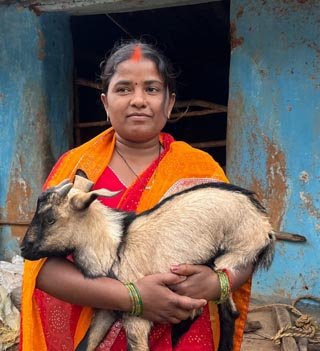 (जशपुर) सविता रजक बकरी पालन व्यवसाय को बढ़ा रही आगे 