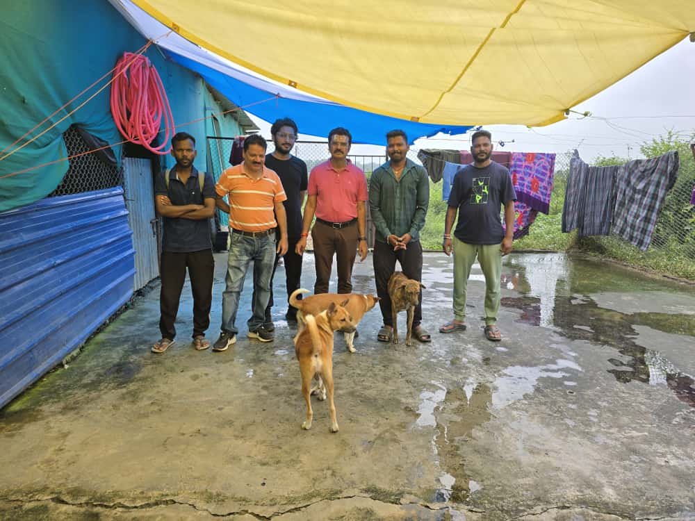 (जगदलपुर) आवारा कुत्तों की बढ़ती समस्या से मिल कर निपटेंगे निगम के साथ स्ट्रे सेफ फाउंडेशन