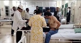 (बालोद) दल्लीराजहरा बीएसपी माइंस में मधुमक्खियों का हमला, 11 कर्मचारी घायल