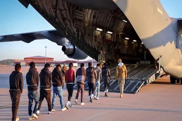 अमेरिका ने 2025 में अब तक 1,703 भारतीयों को किया डिपोर्ट, सबसे ज़्यादा पंजाब और हरियाणा से