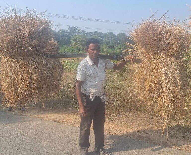 (कोरबा) किसान राजकुमार पटेल विशेष उत्साह से धान खरीदी के लिए तैयार
