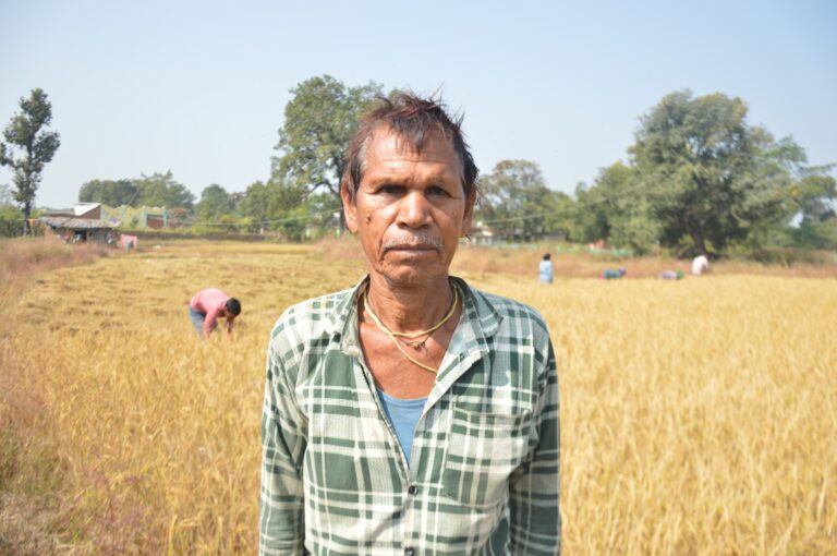 (कोरबा) समर्थन मूल्य 3100 रुपये प्रति किं्वटल से बढ़ा किसानों का उत्साह