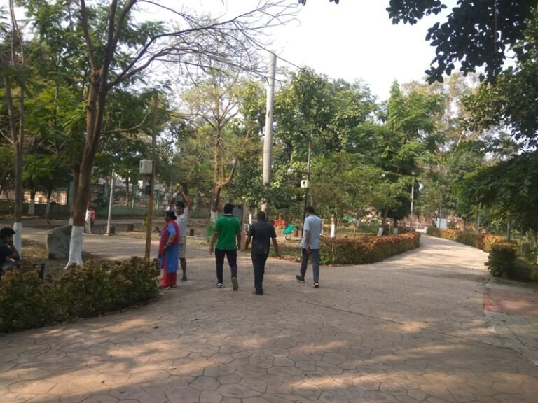 (रायपुर) ठंड बढऩे से सुबह की सैर हुई सुहावनी, उद्यान हुए गुलजार