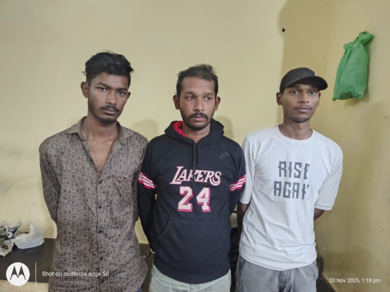 (बिलासपुर) युवती से छेड़छाड़ करने वाले आरोपियों के विरुद्ध बिलासपुर पुलिस का प्रहार