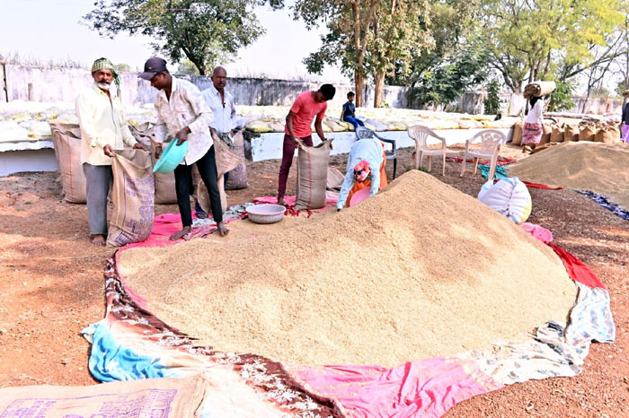 (धमतरी) खरीफ विपणन वर्ष 2025-26 : समर्थन मूल्य पर धान खरीदी का शुभारंभ 15 से
