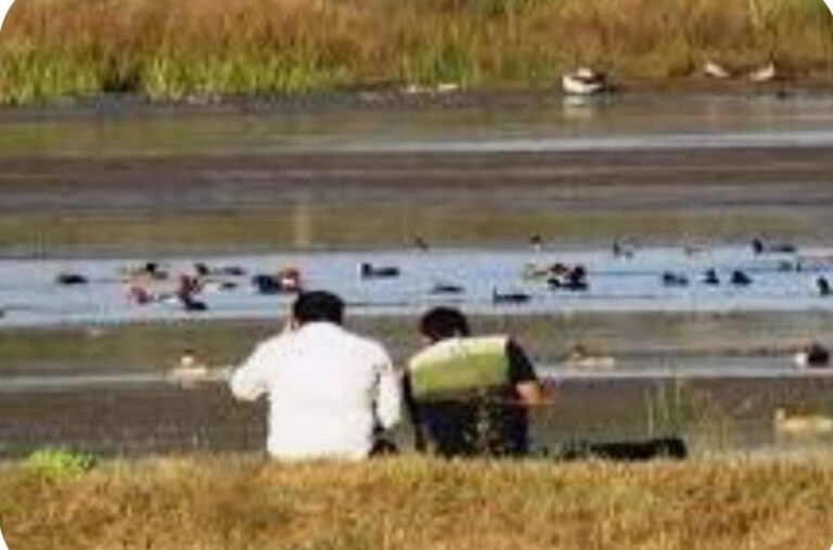 शहर के पास कोपरा जलाशय बनेगा छत्तीसगढ़ का पहला संरक्षित रोंगसर साइट