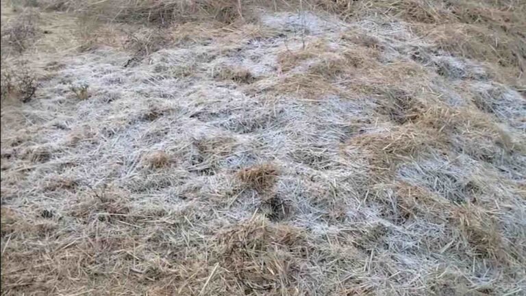 (रायपुर) छत्तीसगढ़ में अब पड़ेगी कड़ाके की ठंड, आज इन 9 जिलों में गिरेगा पारा, मौसम विभाग का अलर्ट जारी