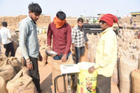 (दुर्ग)अब तक 2,34,535.68 मे. टन धान की हुई खरीदी