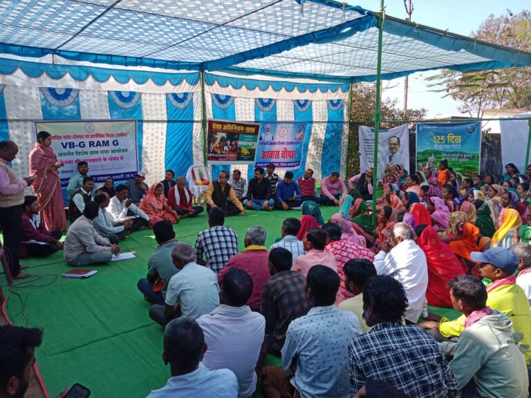 (धमतरी) राष्ट्रीय पेसा दिवस पर बनबगौद ग्रामसभा में शामिल हुए संचालक पीएम आवास तारण प्रकाश सिन्हा